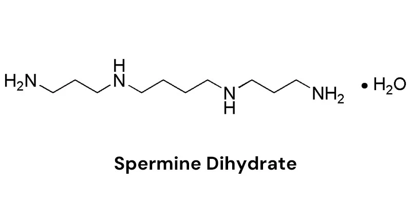 manufacturer Supply Spermine Dihydrate manufacturer Supply Spermine Dihydrate